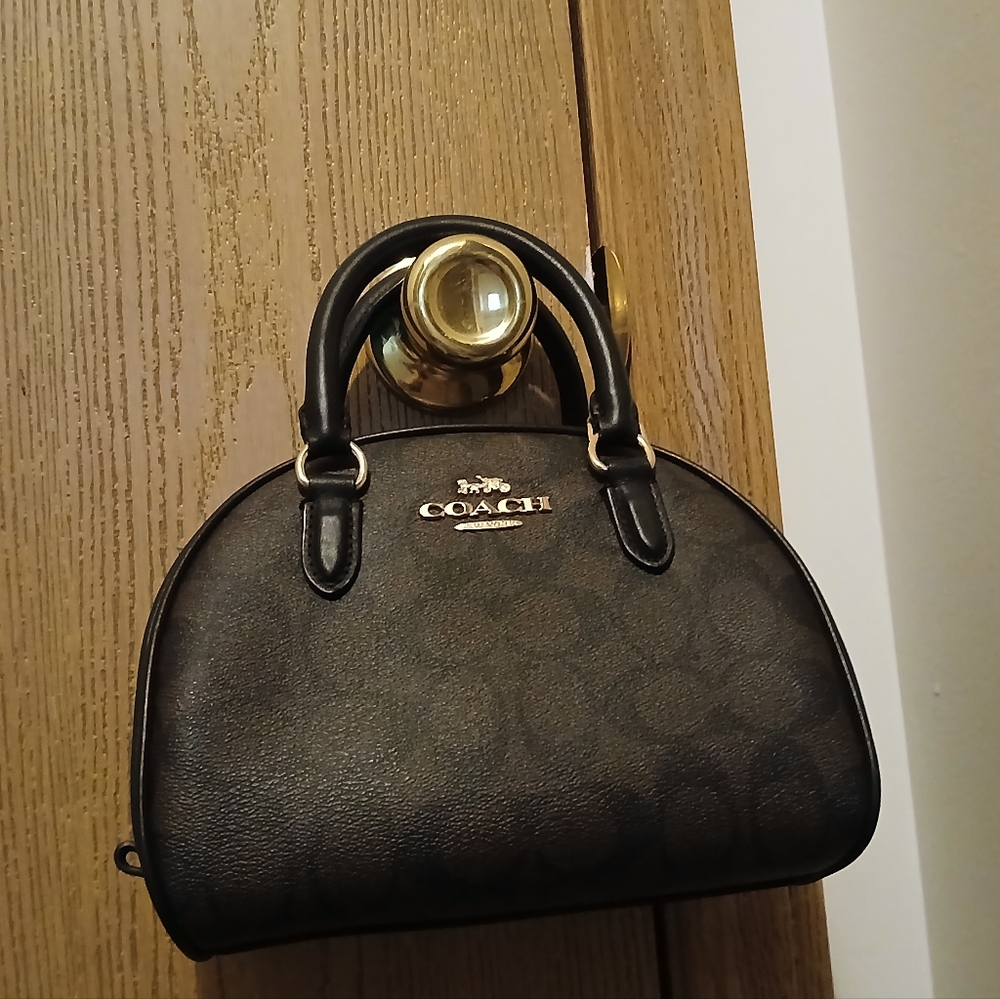 Coach Sydney Statchel Signature Canvas
